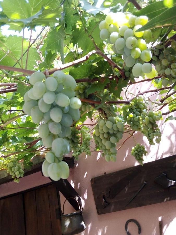 Belli Come Il Sole Serri Kültér fotó